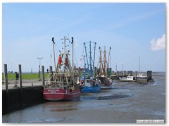 Kutterhafen Dorum-Neufeld